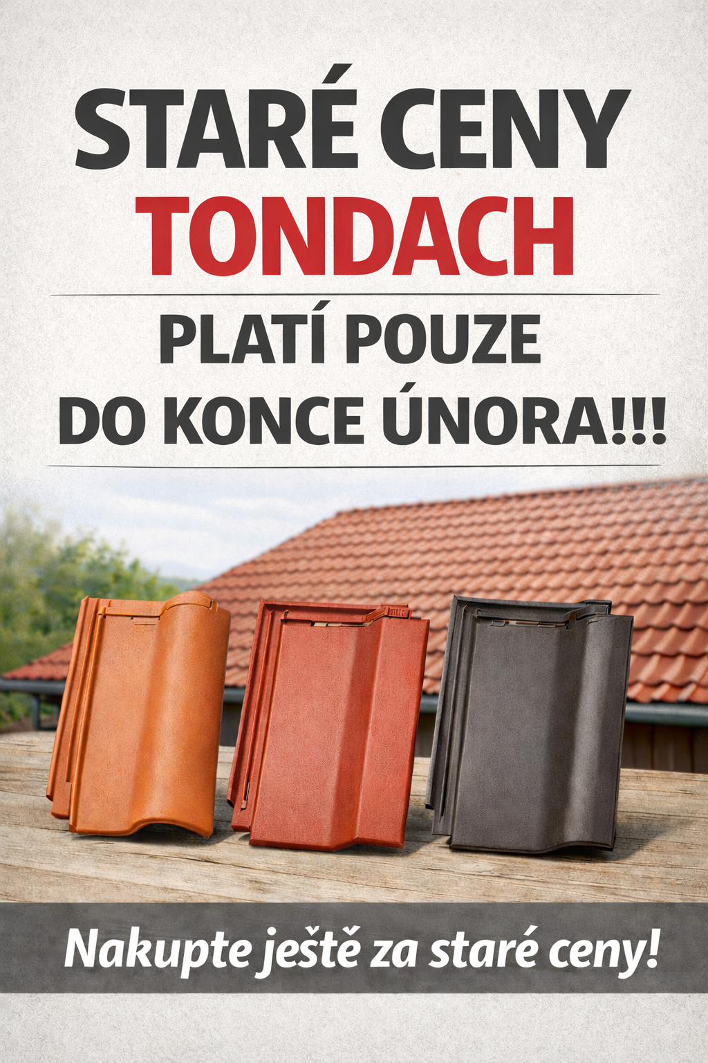 Staré ceny TONDACH platí jen do konce února